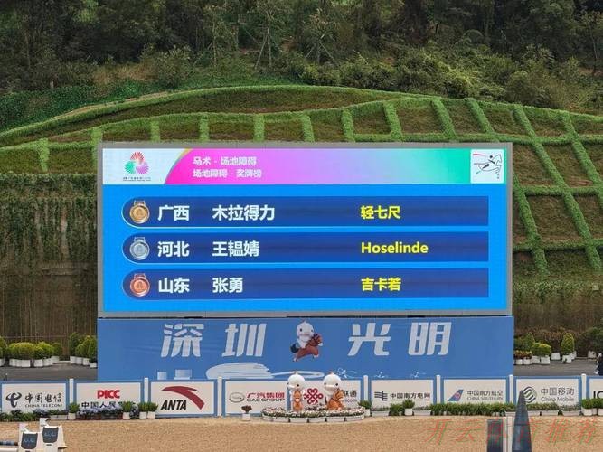 开云体育APP下载：木拉得力获得马术场地障碍个人赛金牌