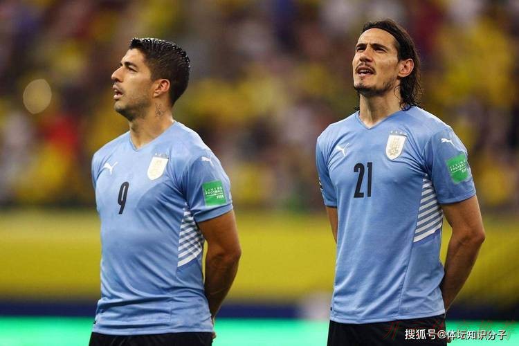 开云体育官网：1比5惨败！一场惨案！美洲杯15冠王被打爆，网友：南美足球没落了